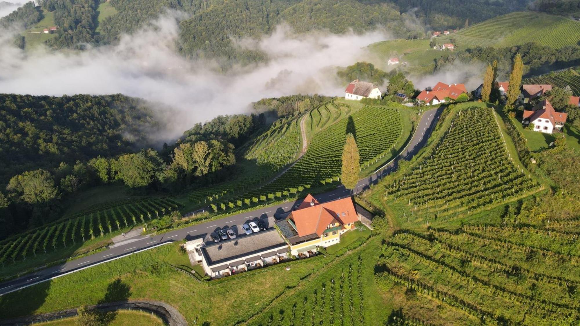 Wohlmuth-Lueckl Kitzeck im Sausal Exterior foto